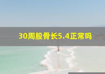 30周股骨长5.4正常吗