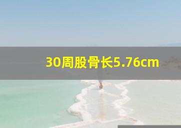 30周股骨长5.76cm