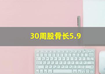 30周股骨长5.9