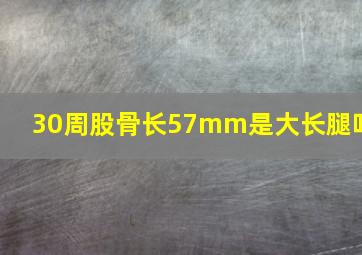 30周股骨长57mm是大长腿吗