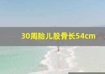 30周胎儿股骨长54cm