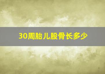 30周胎儿股骨长多少