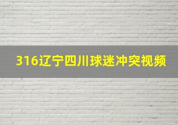 316辽宁四川球迷冲突视频