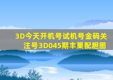 3D今天开机号试机号金码关注号3D045期丰巢配胆图