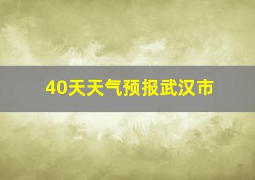 40天天气预报武汉市