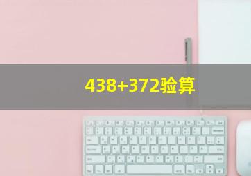 438+372验算