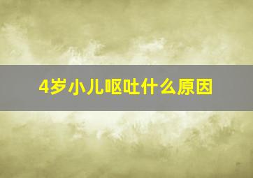 4岁小儿呕吐什么原因