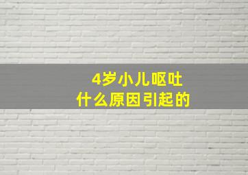 4岁小儿呕吐什么原因引起的