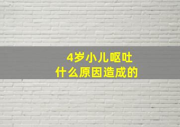 4岁小儿呕吐什么原因造成的