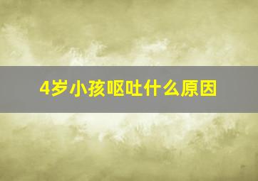 4岁小孩呕吐什么原因