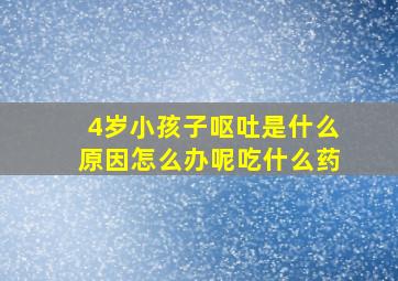 4岁小孩子呕吐是什么原因怎么办呢吃什么药