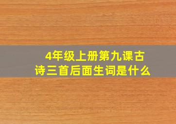 4年级上册第九课古诗三首后面生词是什么