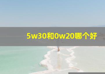 5w30和0w20哪个好