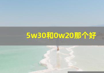 5w30和0w20那个好