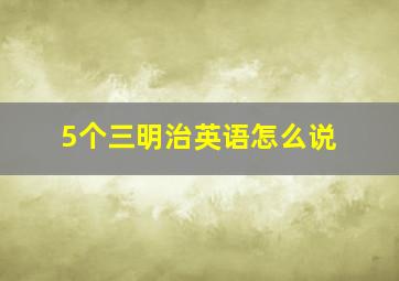 5个三明治英语怎么说