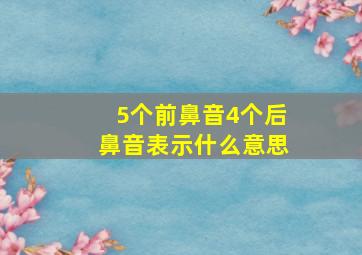 5个前鼻音4个后鼻音表示什么意思