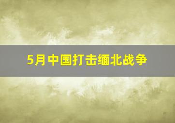 5月中国打击缅北战争