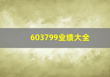 603799业绩大全