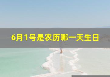 6月1号是农历哪一天生日