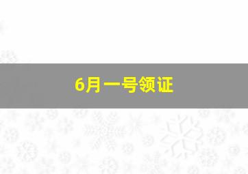 6月一号领证