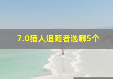 7.0猎人追随者选哪5个