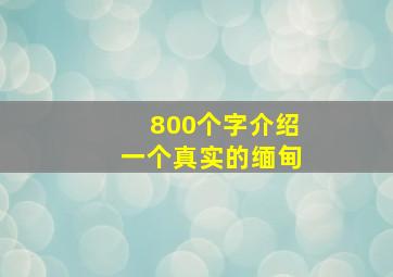 800个字介绍一个真实的缅甸