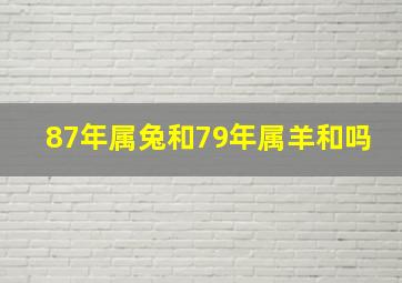 87年属兔和79年属羊和吗