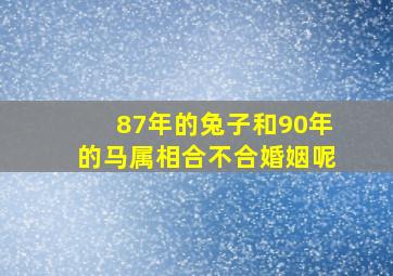 87年的兔子和90年的马属相合不合婚姻呢