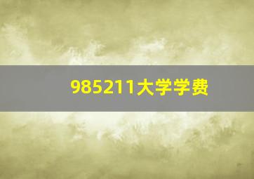 985211大学学费