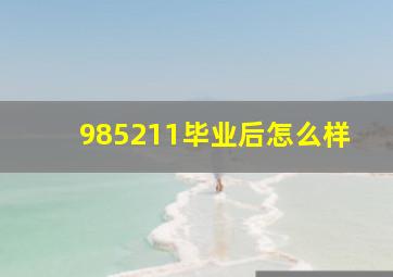 985211毕业后怎么样