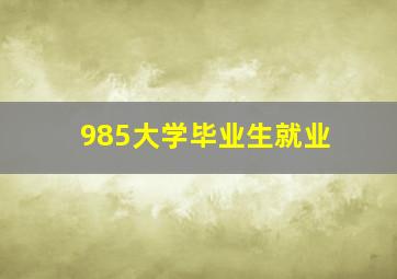 985大学毕业生就业