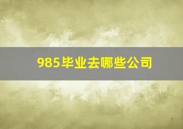 985毕业去哪些公司