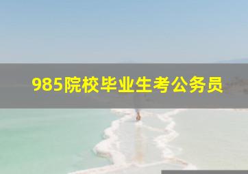 985院校毕业生考公务员