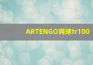 ARTENGO网球tr100