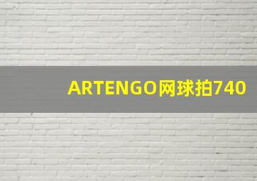 ARTENGO网球拍740