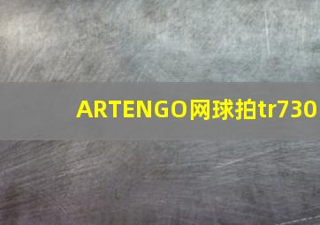 ARTENGO网球拍tr730