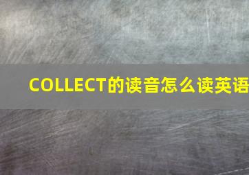 COLLECT的读音怎么读英语