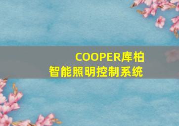 COOPER库柏智能照明控制系统