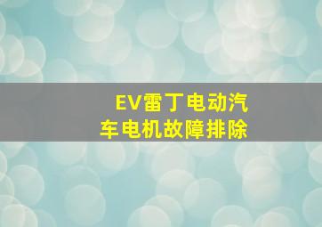 EV雷丁电动汽车电机故障排除