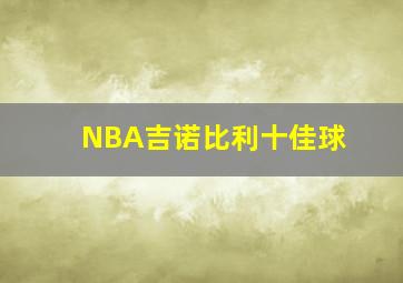 NBA吉诺比利十佳球