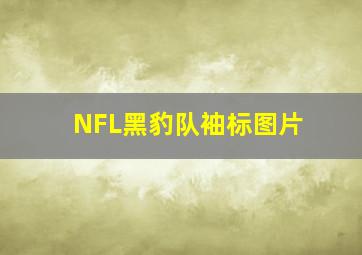 NFL黑豹队袖标图片