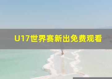 U17世界赛新出免费观看