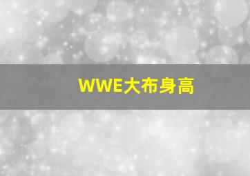 WWE大布身高