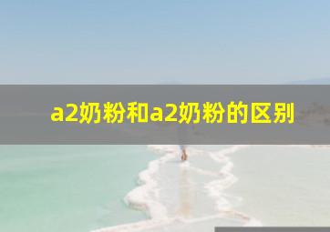 a2奶粉和a2奶粉的区别