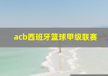 acb西班牙篮球甲级联赛