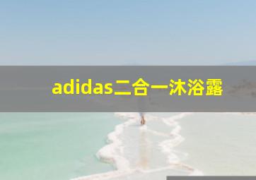 adidas二合一沐浴露