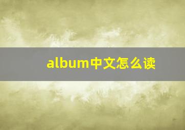 album中文怎么读