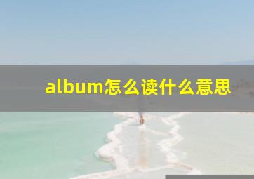 album怎么读什么意思