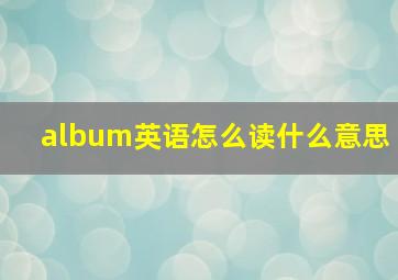 album英语怎么读什么意思