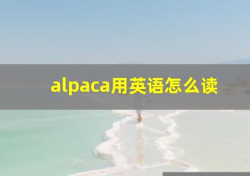 alpaca用英语怎么读